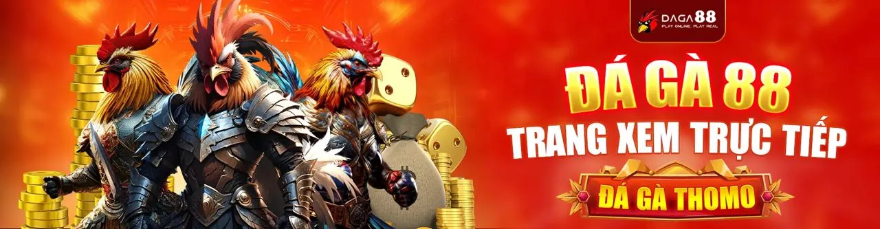 Lợi ích khi tham gia Solarbet